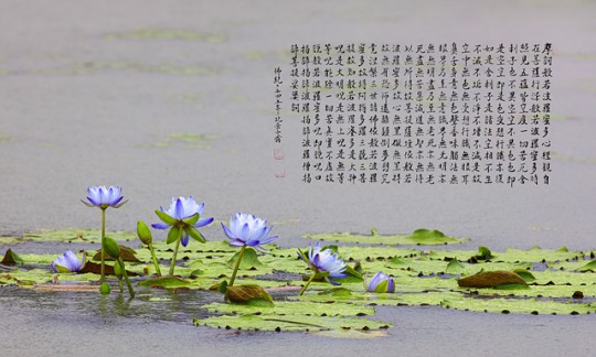 Gallery slide