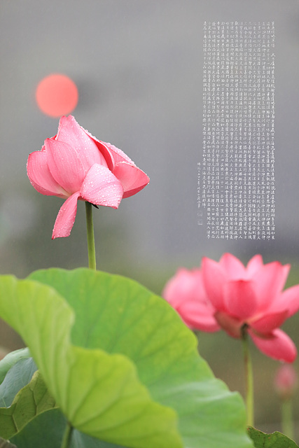 Gallery slide