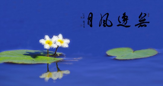 Gallery slide